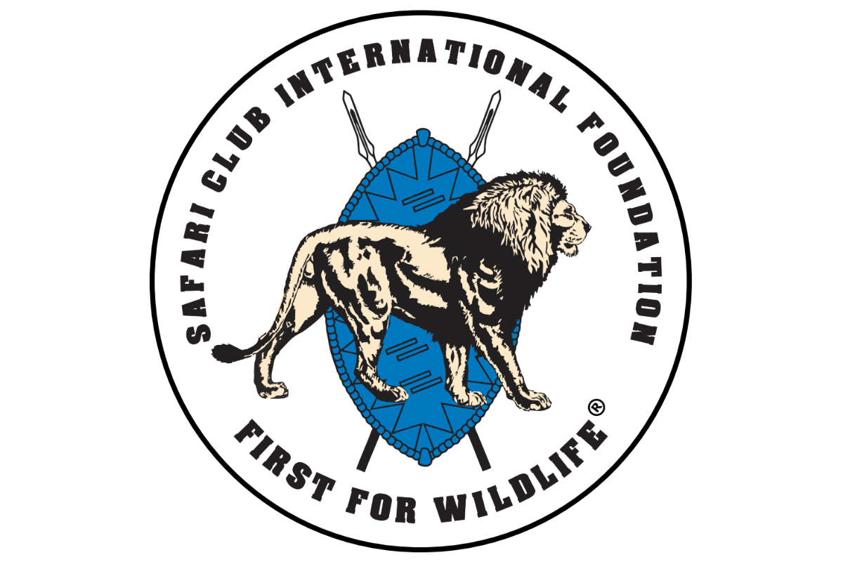 SCI Foundation Logo