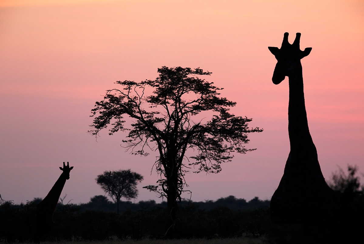 Botswana